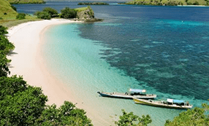 plage de Flores
